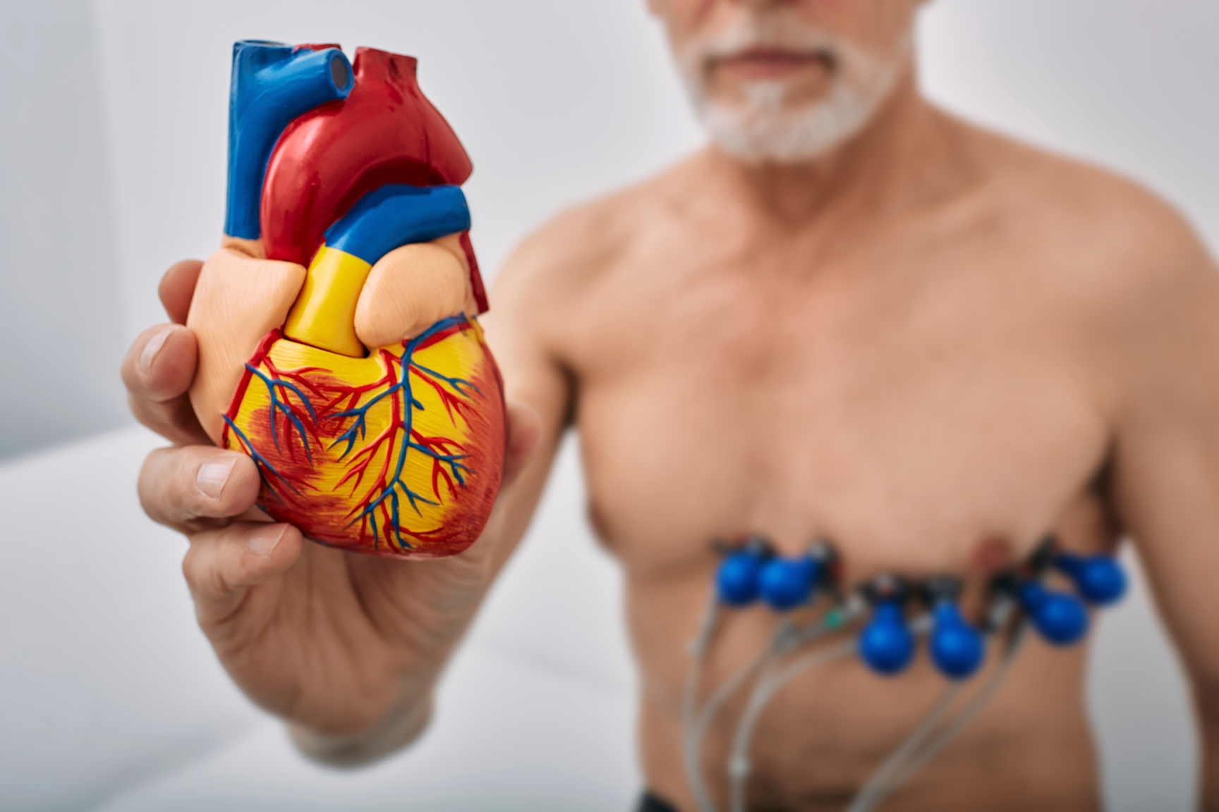 Cardiology, conceptual image